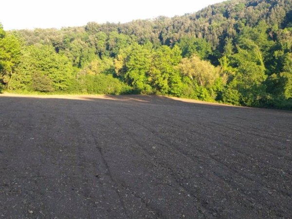 terreno agricolo in vendita a Tuscania