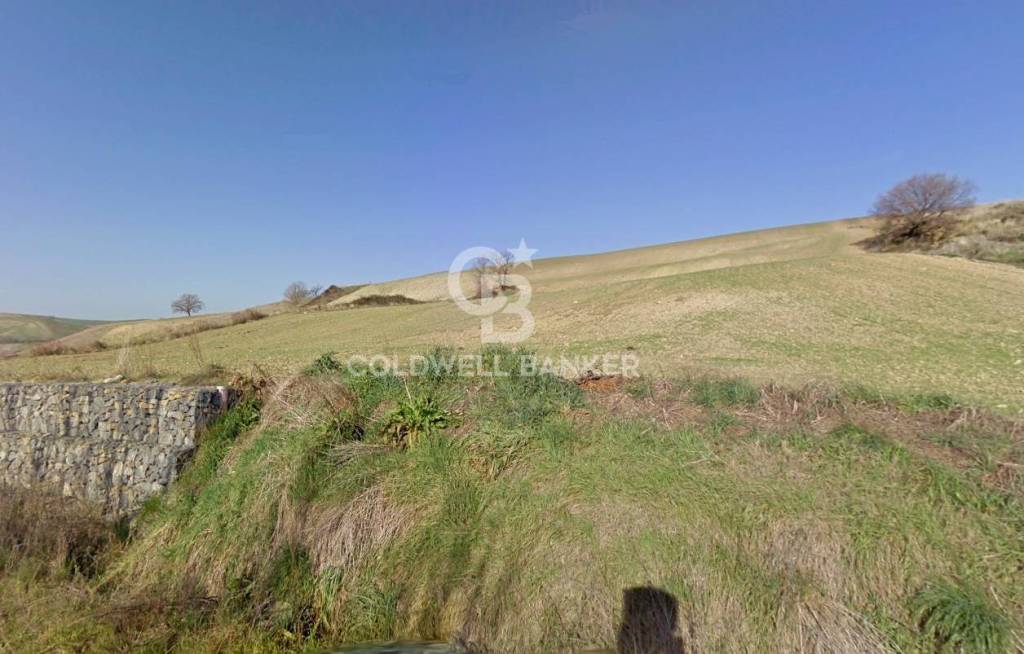 terreno agricolo in vendita a Tuscania