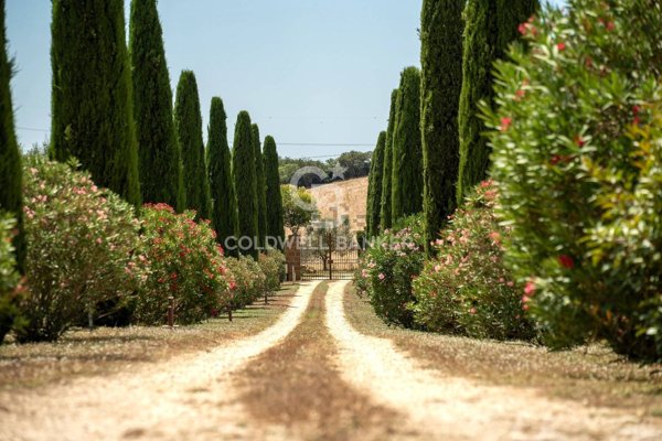 casa indipendente in vendita a Tuscania