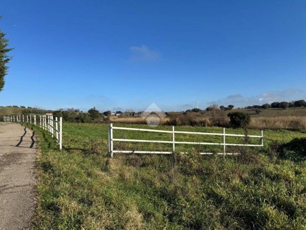 terreno agricolo in vendita a Tuscania