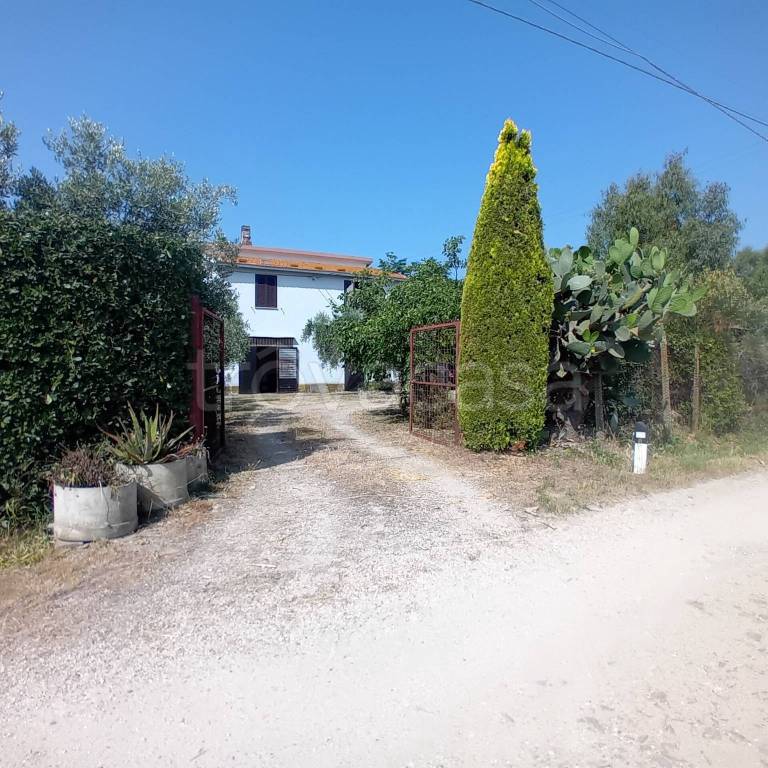 casa indipendente in vendita a Tuscania