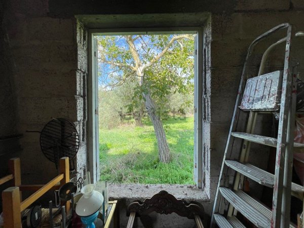 appartamento in vendita a Tuscania