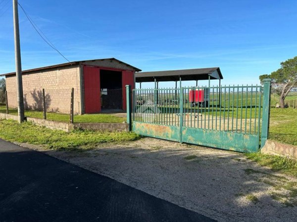 terreno agricolo in vendita a Tuscania