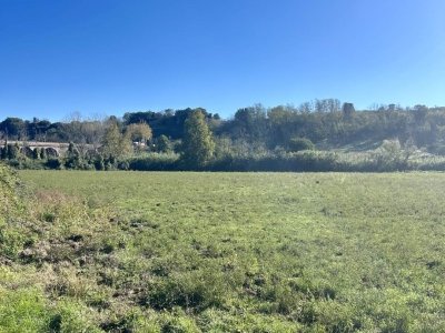 terreno agricolo in vendita a Tuscania