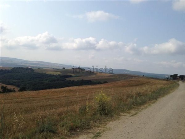 terreno agricolo in vendita a Tuscania
