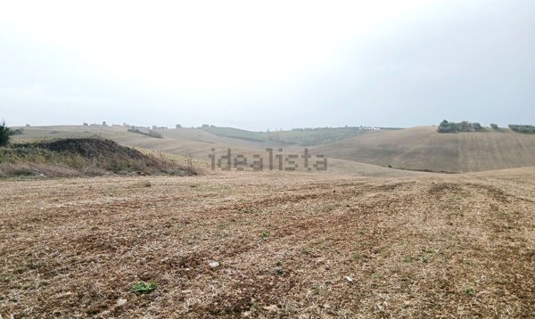 terreno agricolo in vendita a Tuscania