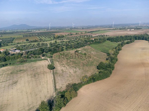 terreno agricolo in vendita a Tuscania