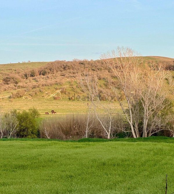 villa in vendita a Tuscania