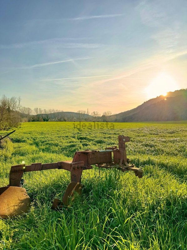 villa in vendita a Tuscania