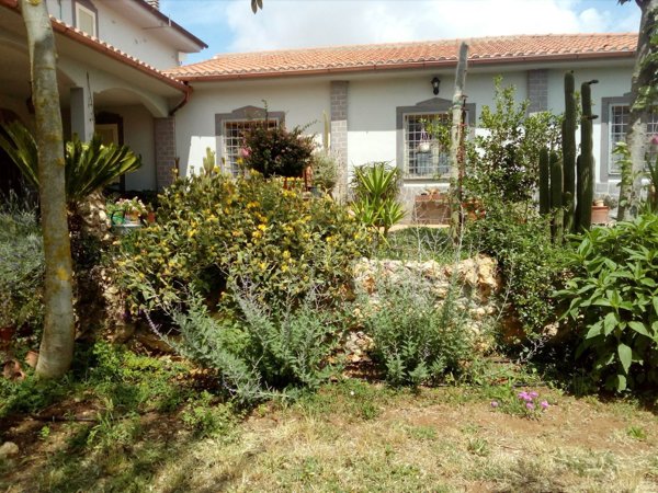 casa indipendente in vendita a Tuscania