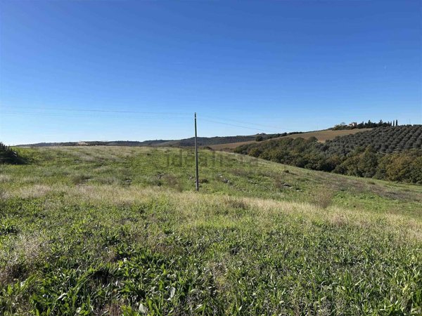 terreno agricolo in vendita a Tuscania