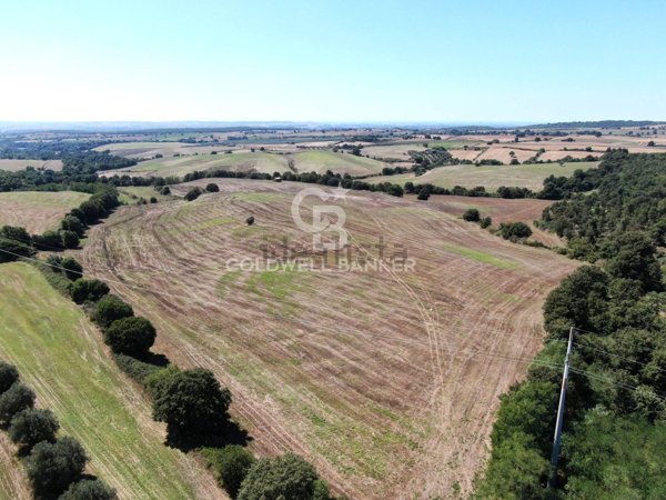 terreno agricolo in vendita a Tuscania