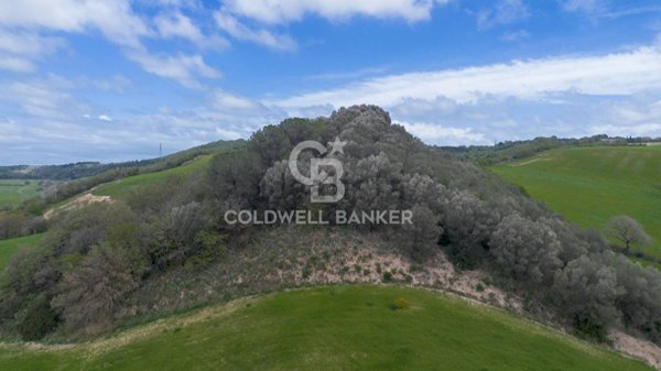 terreno agricolo in vendita a Tuscania
