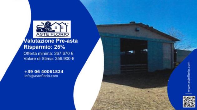 pentavano in vendita a Tuscania