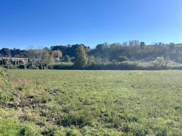 terreno agricolo in vendita a Tuscania