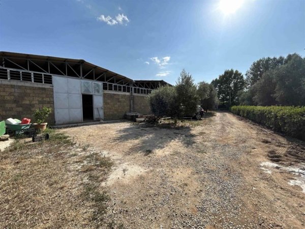 appartamento in vendita a Tuscania