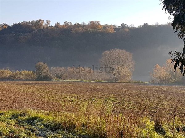 terreno agricolo in vendita a Tuscania