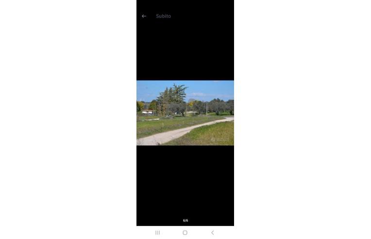 terreno agricolo in vendita a Tuscania