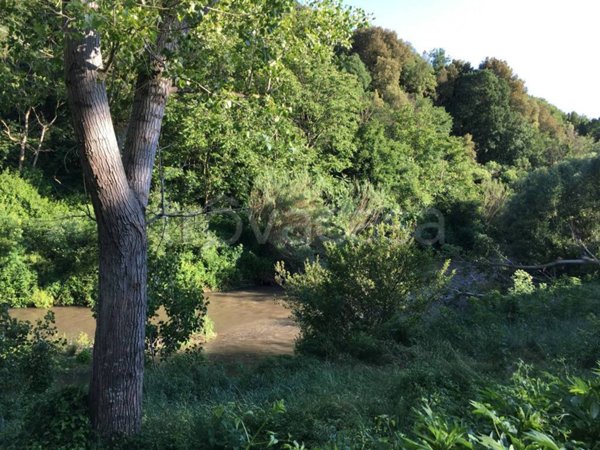 villa in vendita a Tuscania
