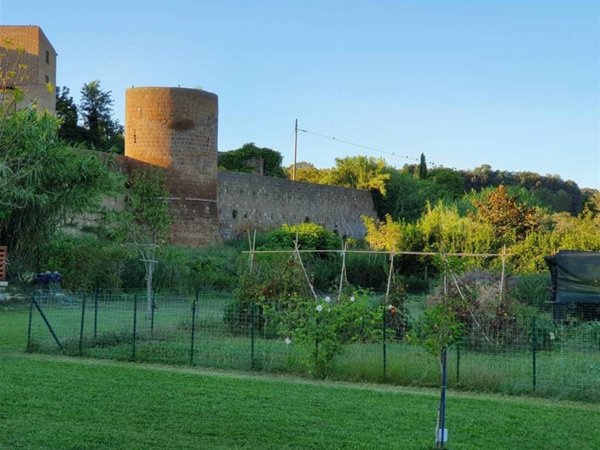 terreno agricolo in vendita a Tuscania