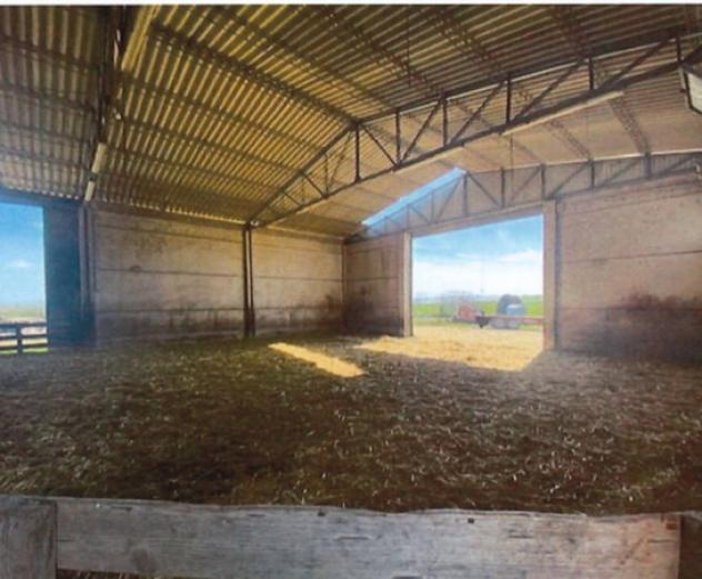 pentavano in vendita a Tuscania