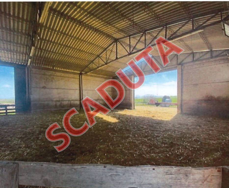 locale commerciale in vendita a Tuscania