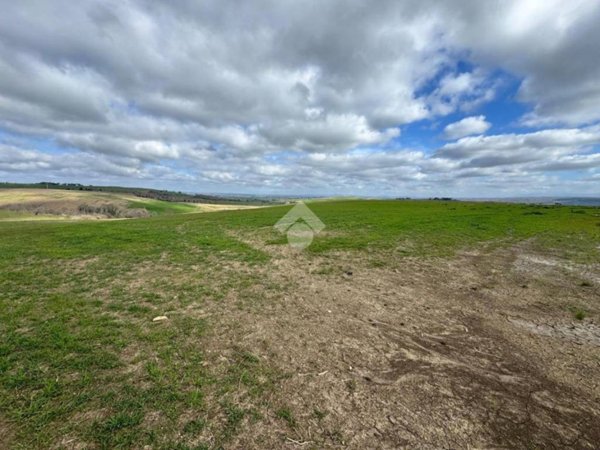 terreno agricolo in vendita a Tuscania