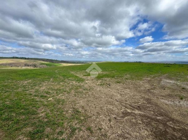 terreno agricolo in vendita a Tuscania