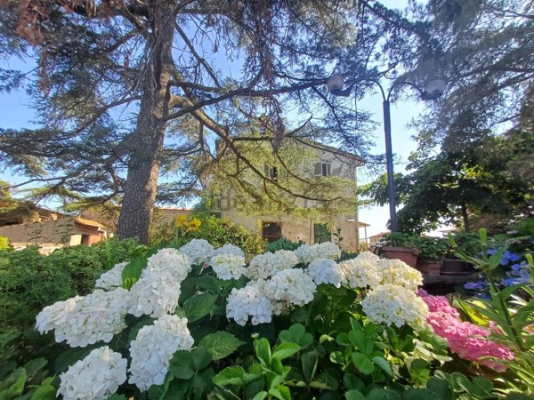appartamento in vendita a Tuscania