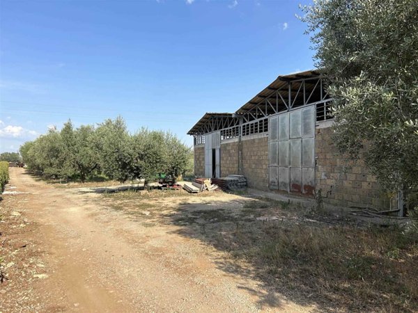 ufficio in vendita a Tuscania