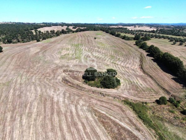 terreno agricolo in vendita a Tuscania