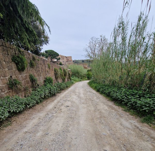 terreno agricolo in vendita a Tuscania