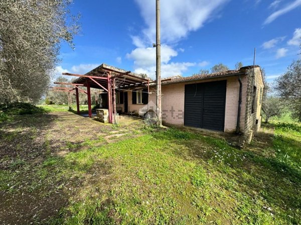 appartamento in vendita a Tuscania