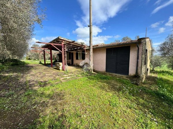 casa indipendente in vendita a Tuscania
