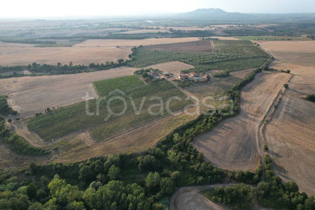 casa indipendente in vendita a Tuscania