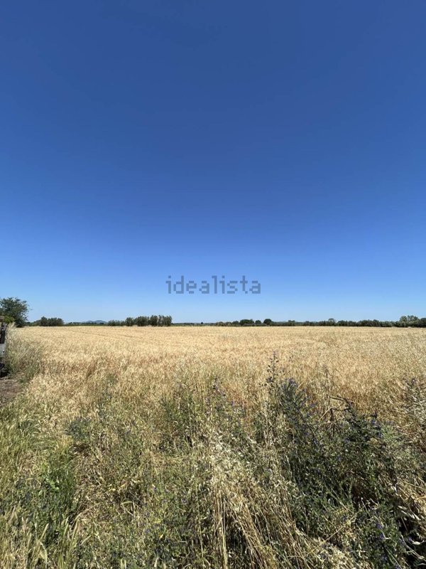 appartamento in vendita a Tuscania