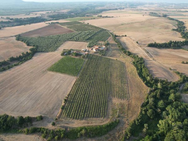 terreno agricolo in vendita a Tuscania