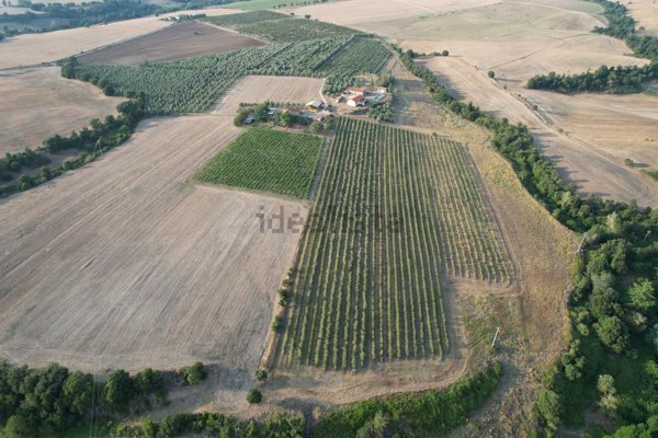 azienda agricola in vendita a Tuscania