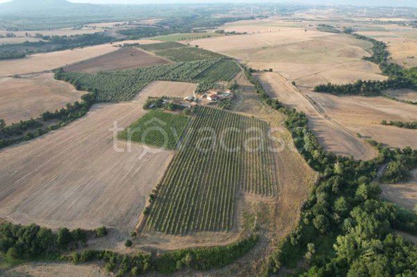 terreno agricolo in vendita a Tuscania