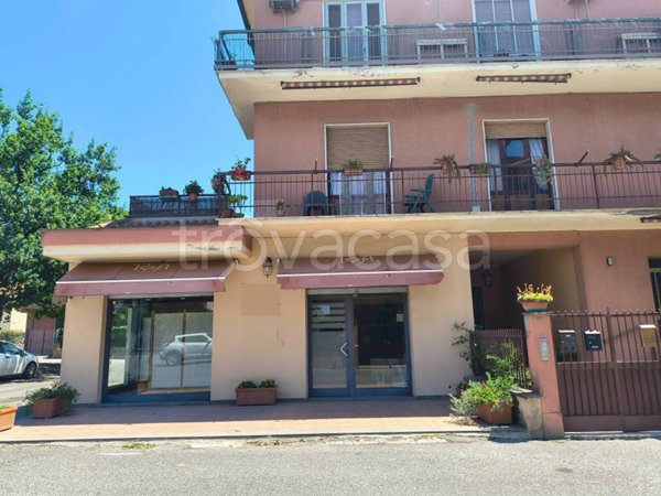 appartamento in vendita a Tuscania