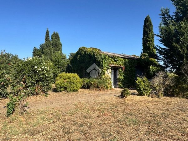 appartamento in vendita a Tuscania