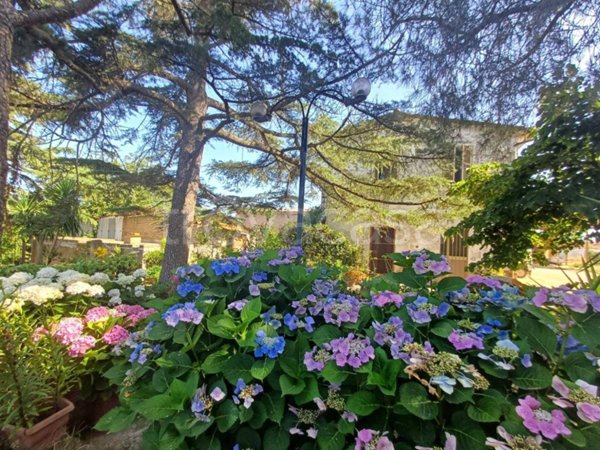 casa indipendente in vendita a Tuscania