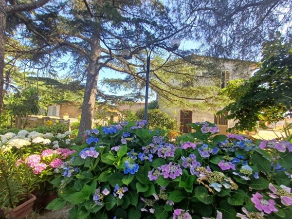 casa indipendente in vendita a Tuscania