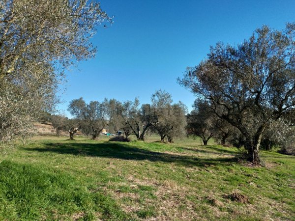 terreno in vendita a Tuscania