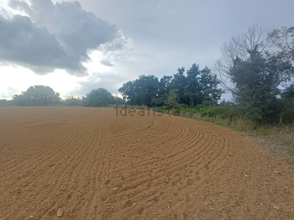 terreno in vendita a Tuscania