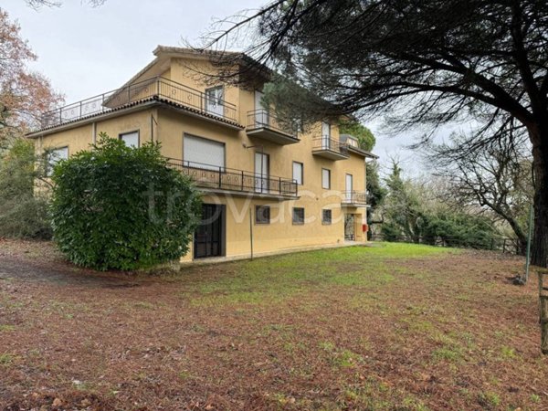 terreno agricolo in vendita a Valentano