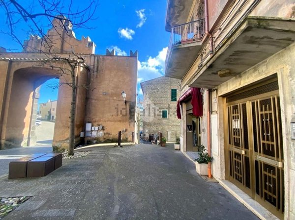 appartamento in vendita a Valentano