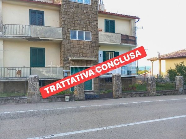 appartamento in vendita a Valentano