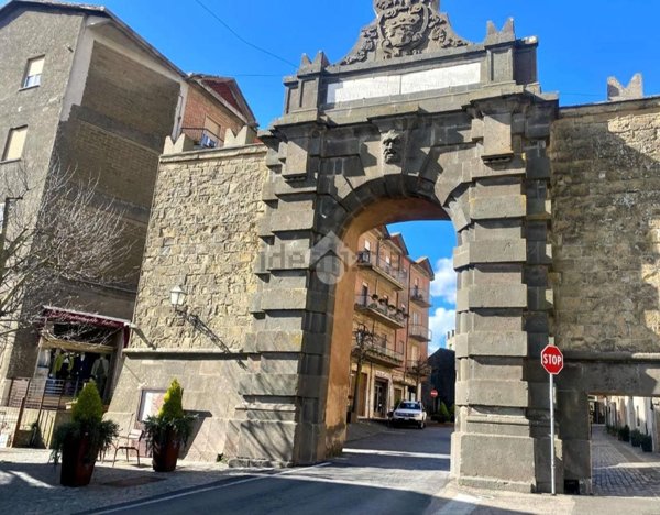 appartamento in vendita a Valentano