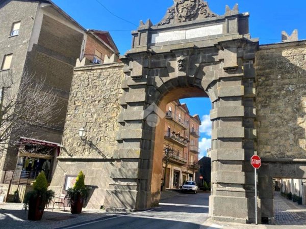 appartamento in vendita a Valentano